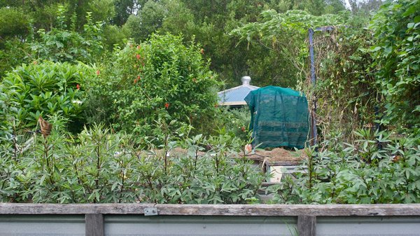 Comment trouver des stages de permaculture abordables en Australie?