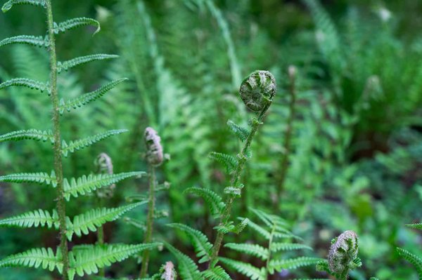 Où trouver les meilleures fermes pour une expérience d'agritourisme en Toscane?