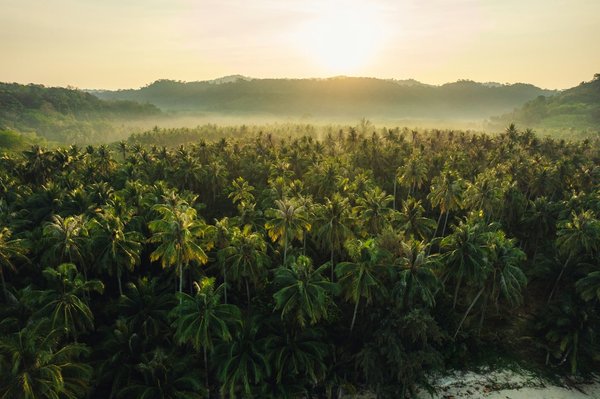 Où trouver les meilleures sources d'eau thermale pour une relaxation naturelle en Islande?